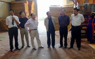 省林检局来六安检查林业有害生物防治工作