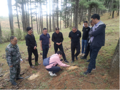云南省林业和草原有害生物防治检疫局赴寻甸调研林业和草原有害生物